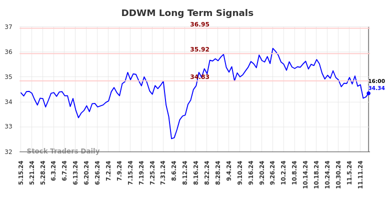 DDWM Long Term Analysis for November 16 2024