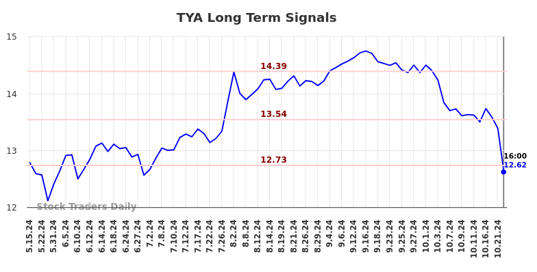 TYA Long Term Analysis for November 16 2024