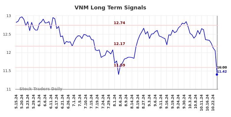 VNM Long Term Analysis for November 16 2024