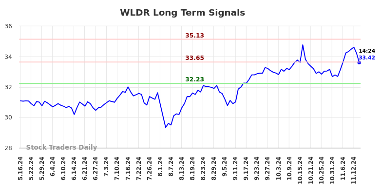 WLDR Long Term Analysis for November 16 2024