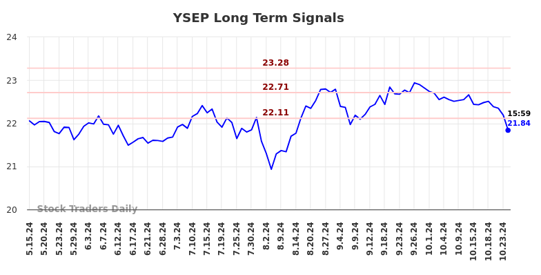 YSEP Long Term Analysis for November 16 2024