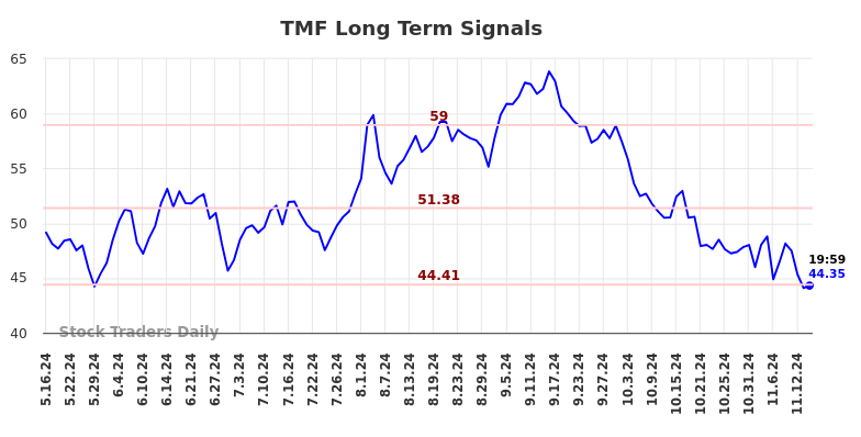 TMF Long Term Analysis for November 16 2024