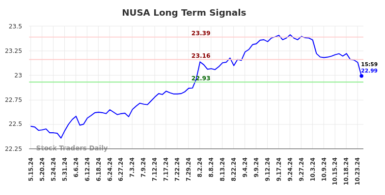 NUSA Long Term Analysis for November 17 2024