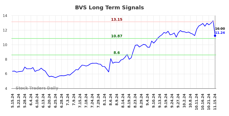 BVS Long Term Analysis for November 17 2024