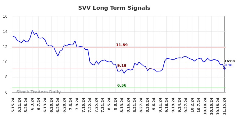 SVV Long Term Analysis for November 17 2024