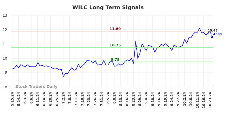 WILC Long Term Analysis for November 17 2024