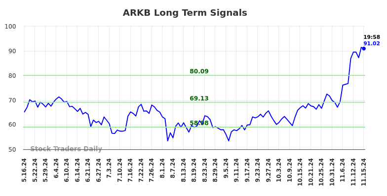 ARKB Long Term Analysis for November 17 2024