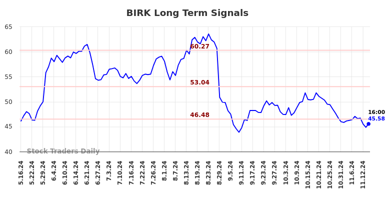 BIRK Long Term Analysis for November 17 2024