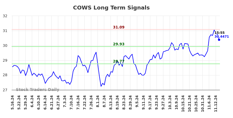 COWS Long Term Analysis for November 17 2024