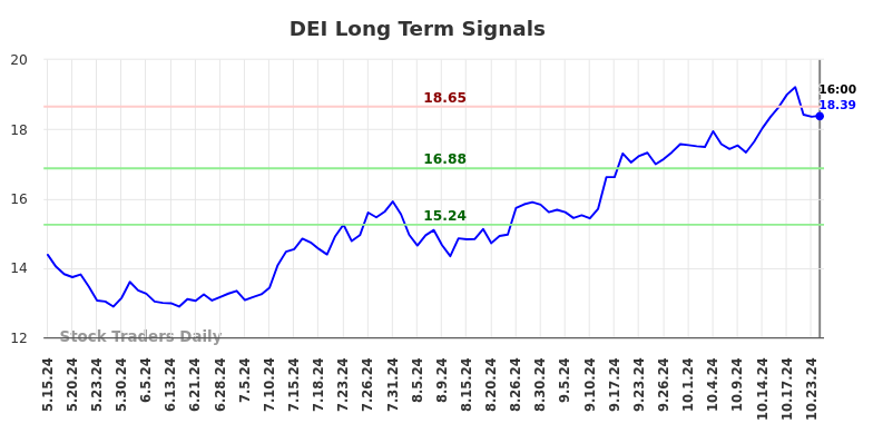 DEI Long Term Analysis for November 17 2024