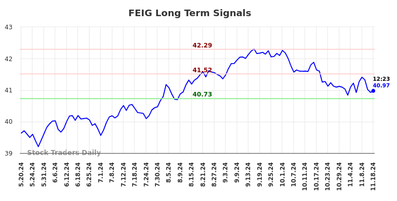 FEIG Long Term Analysis for November 18 2024