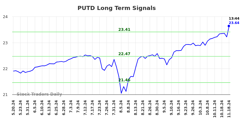 PUTD Long Term Analysis for November 18 2024