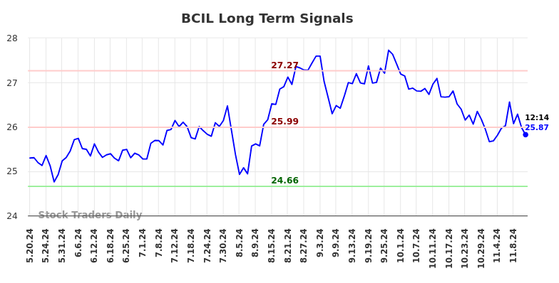 BCIL Long Term Analysis for November 18 2024