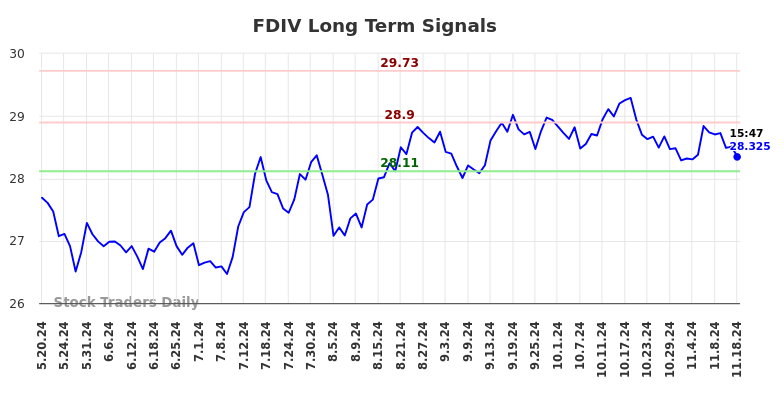 FDIV Long Term Analysis for November 18 2024