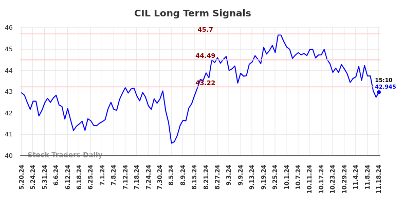 CIL Long Term Analysis for November 19 2024