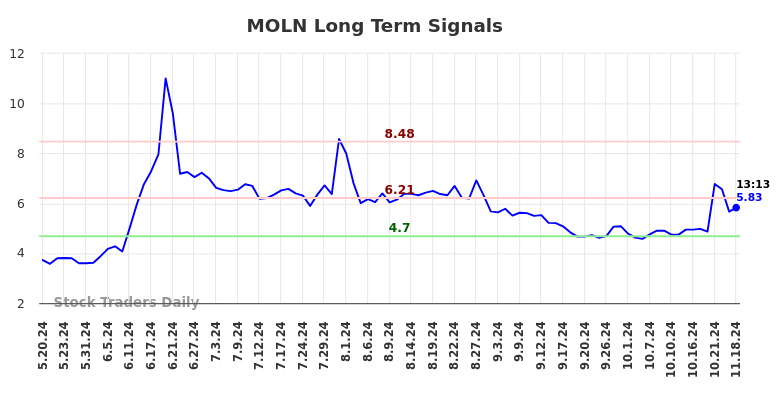 MOLN Long Term Analysis for November 19 2024