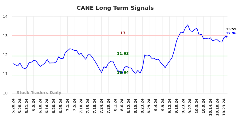 CANE Long Term Analysis for November 19 2024