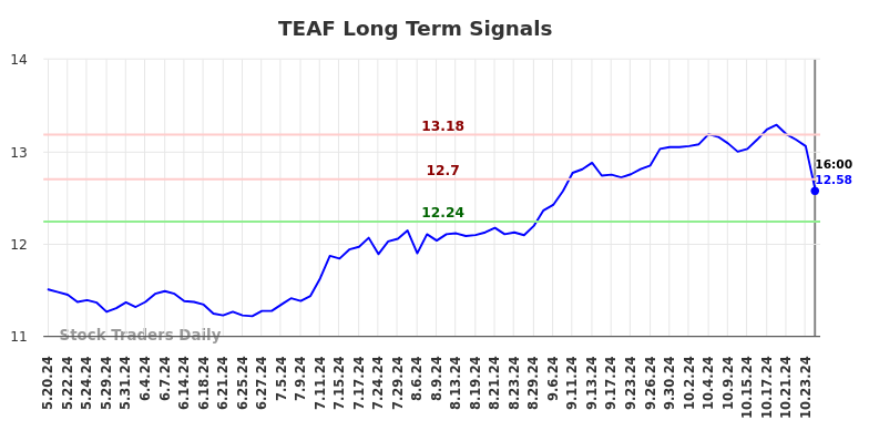 TEAF Long Term Analysis for November 19 2024