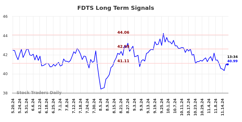 FDTS Long Term Analysis for November 19 2024