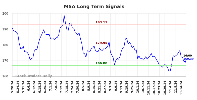 MSA Long Term Analysis for November 19 2024