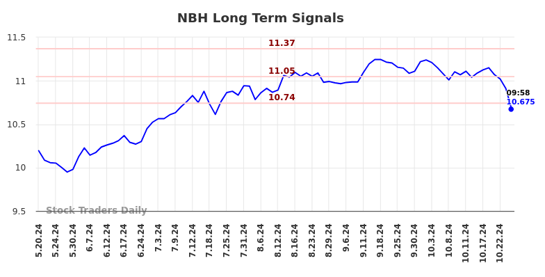 NBH Long Term Analysis for November 19 2024