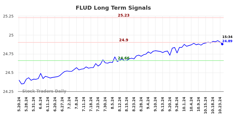 FLUD Long Term Analysis for November 19 2024