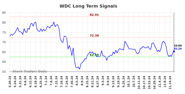 WDC Long Term Analysis for November 20 2024