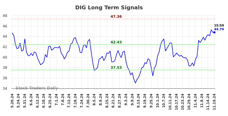 DIG Long Term Analysis for November 20 2024