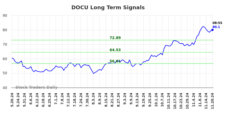 DOCU Long Term Analysis for November 20 2024