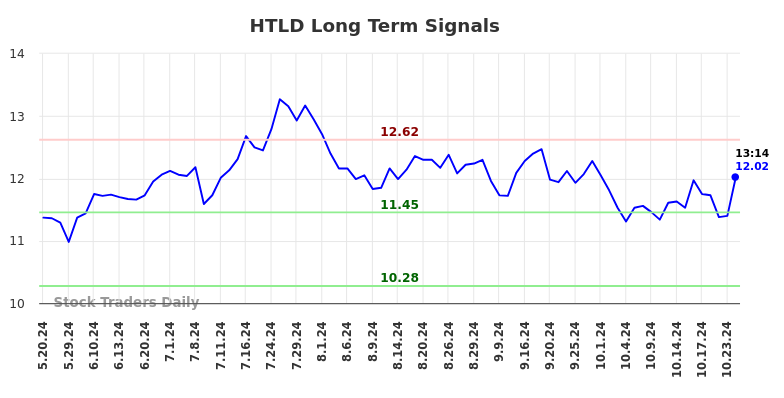 HTLD Long Term Analysis for November 20 2024