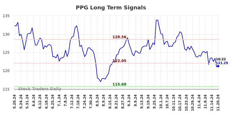 PPG Long Term Analysis for November 20 2024