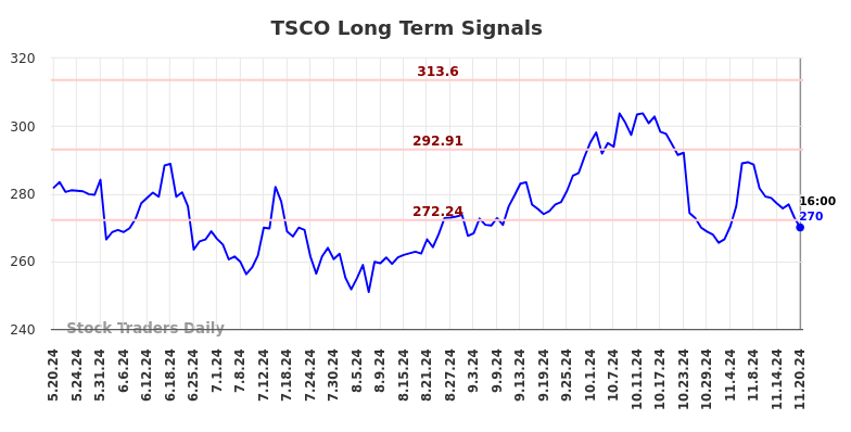 TSCO Long Term Analysis for November 20 2024