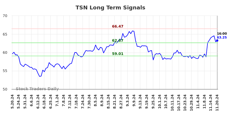 TSN Long Term Analysis for November 20 2024