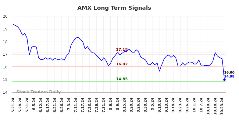 AMX Long Term Analysis for November 21 2024