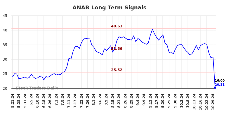 ANAB Long Term Analysis for November 21 2024 ANAB Long Term Analysis for November 21 2024