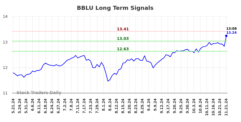 BBLU Long Term Analysis for November 21 2024