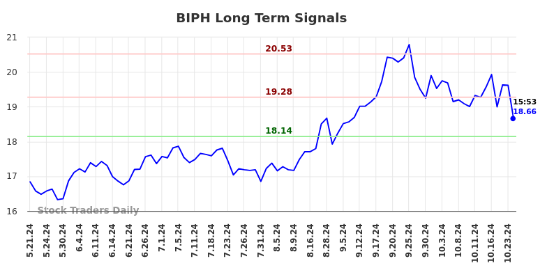 BIPH Long Term Analysis for November 21 2024