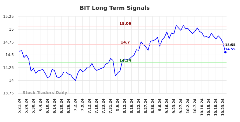 BIT Long Term Analysis for November 21 2024