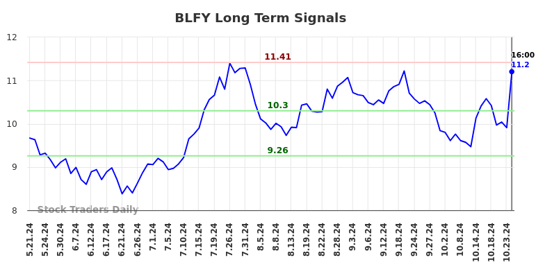 BLFY Long Term Analysis for November 21 2024