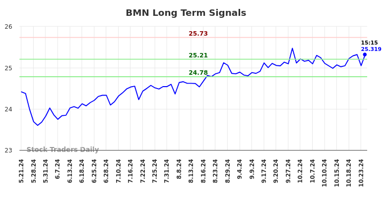 BMN Long Term Analysis for November 21 2024