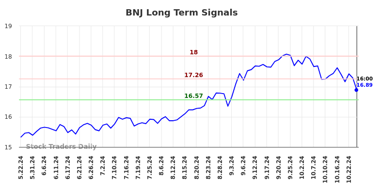 BNJ Long Term Analysis for November 21 2024