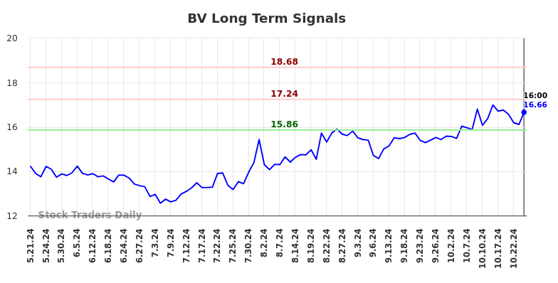 BV Long Term Analysis for November 21 2024