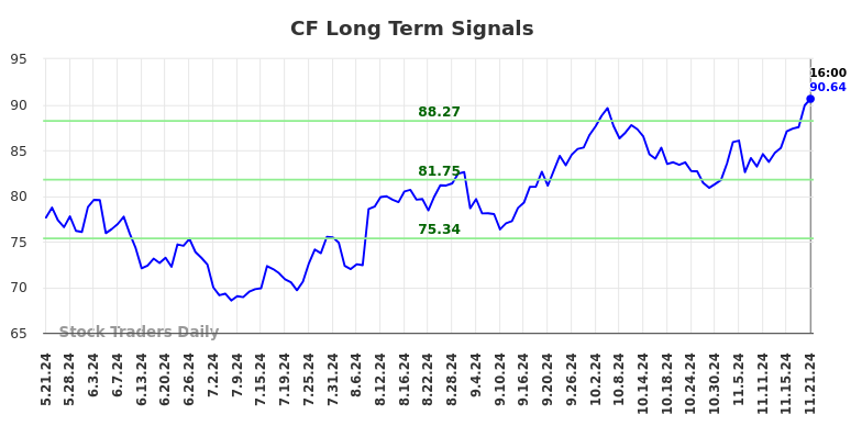 CF Long Term Analysis for November 21 2024