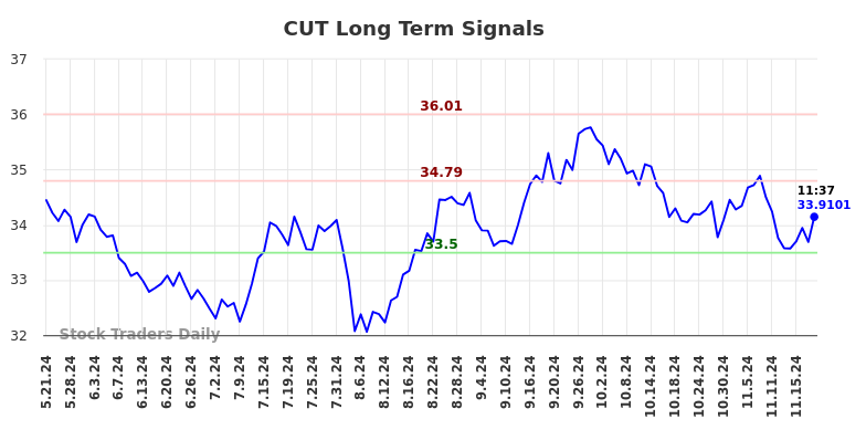 CUT Long Term Analysis for November 22 2024