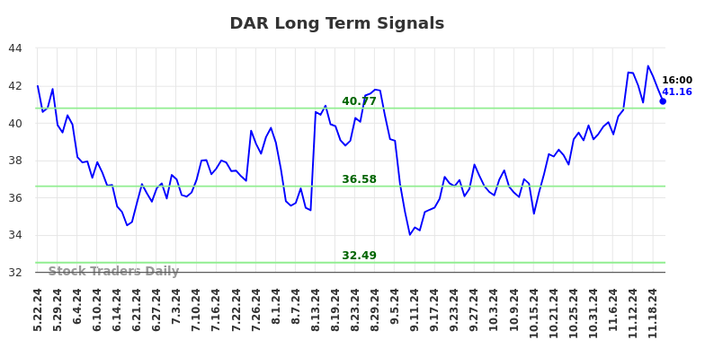 DAR Long Term Analysis for November 22 2024