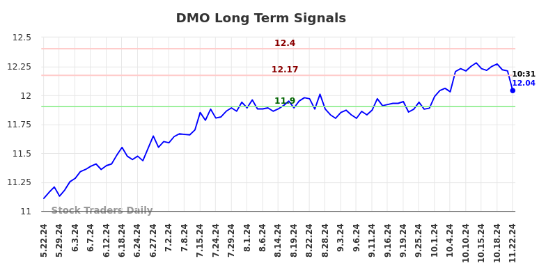 DMO Long Term Analysis for November 22 2024