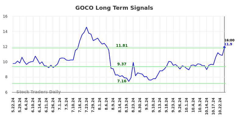 GOCO Long Term Analysis for November 23 2024