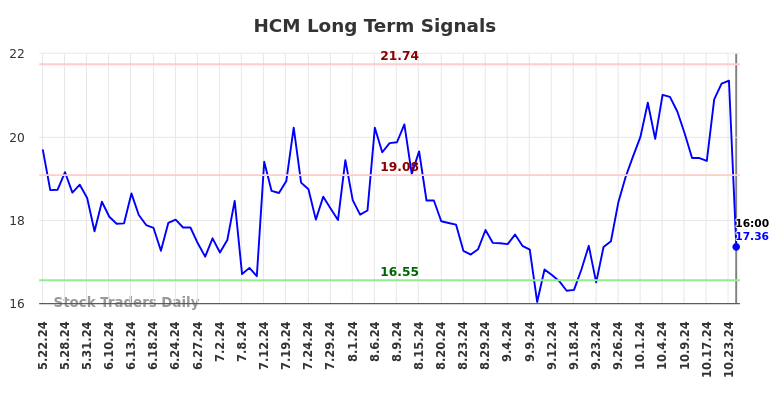 HCM Long Term Analysis for November 23 2024