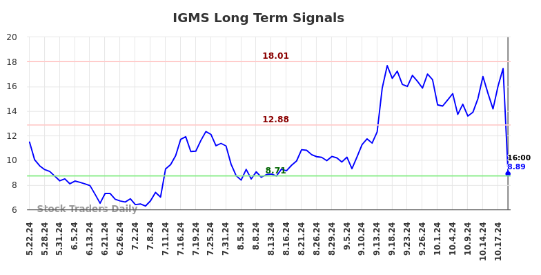 IGMS Long Term Analysis for November 23 2024 IGMS Long Term Analysis for November 23 2024
