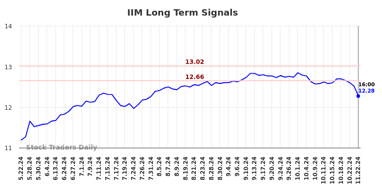 IIM Long Term Analysis for November 23 2024